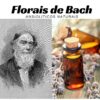 Ansiolíticos naturais: Florais de Bach