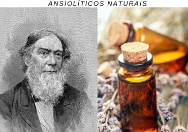 Ansiolíticos naturais: Florais de Bach